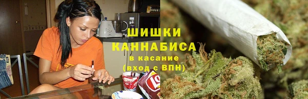 крисы Куйбышев